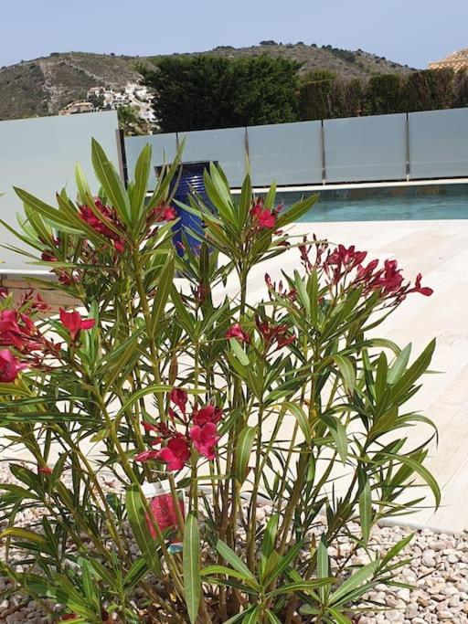 Casa Osimos Portet 450 M Moraira Exterior photo